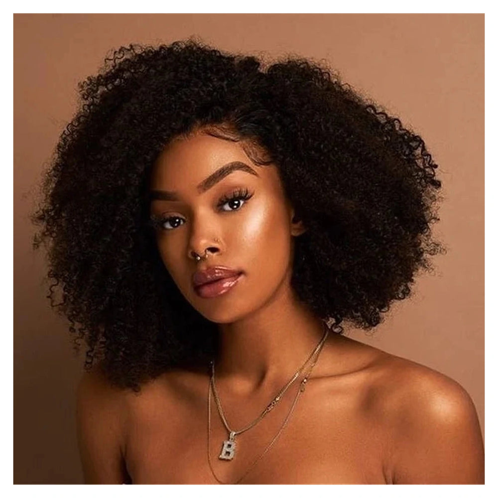 Afro Kinky Curly human hair wig — Natural Color