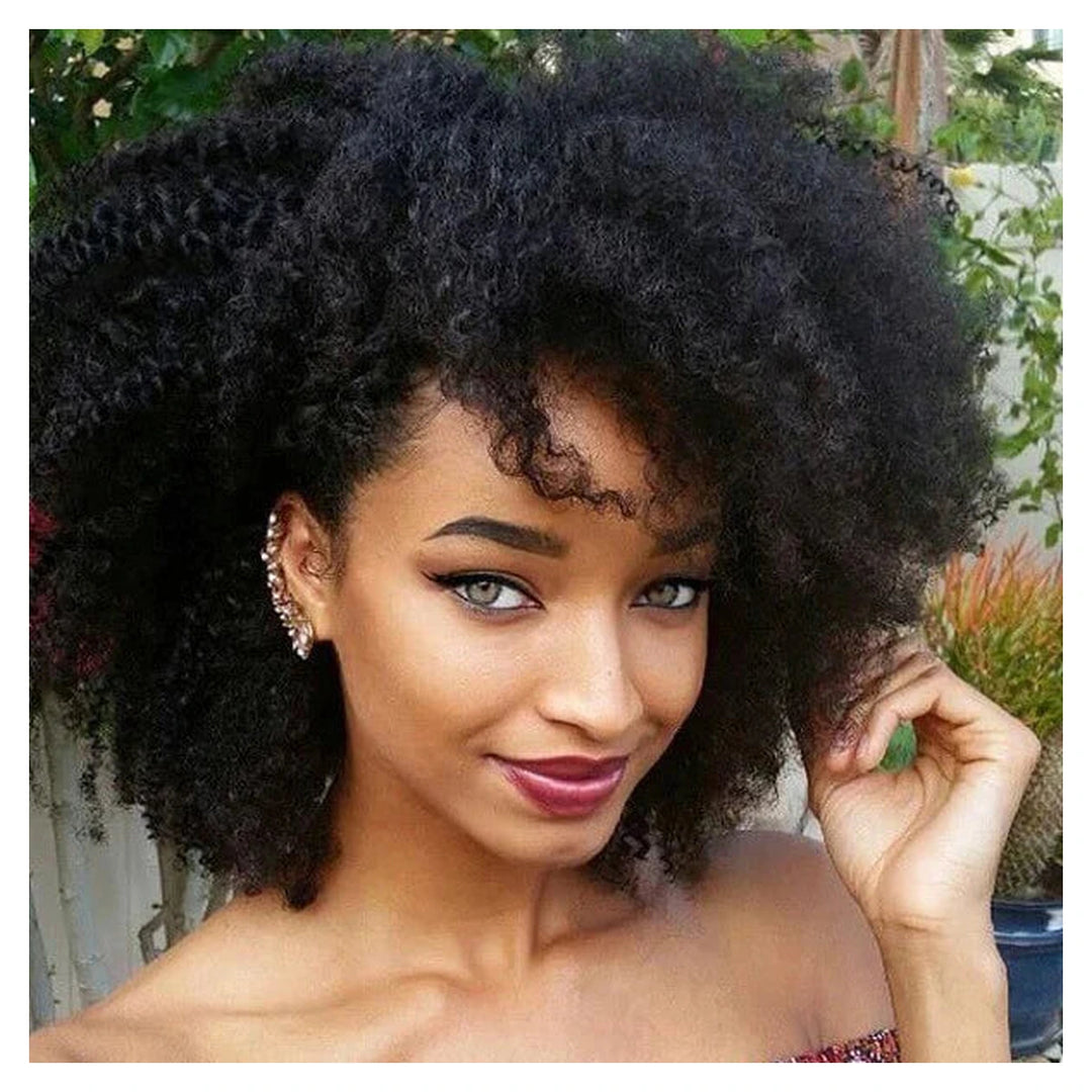 Afro Kinky Curly human hair wig — Natural Color