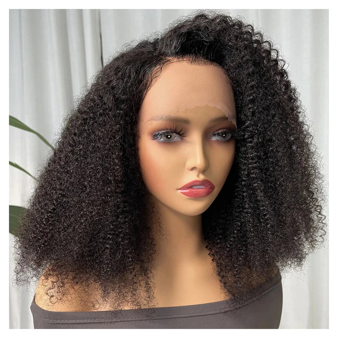 Afro Kinky Curly human hair wig — Natural Color
