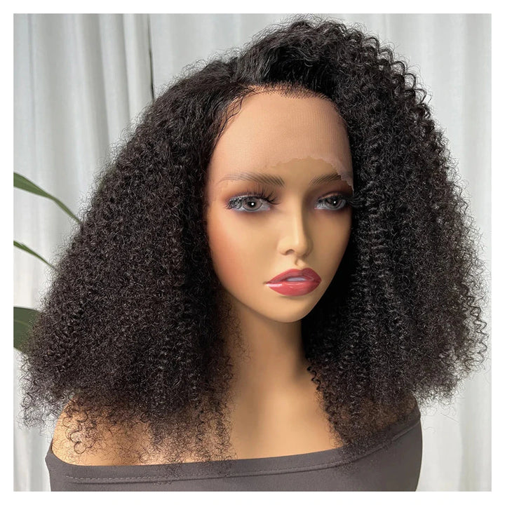Afro Kinky Curly human hair wig — Natural Color