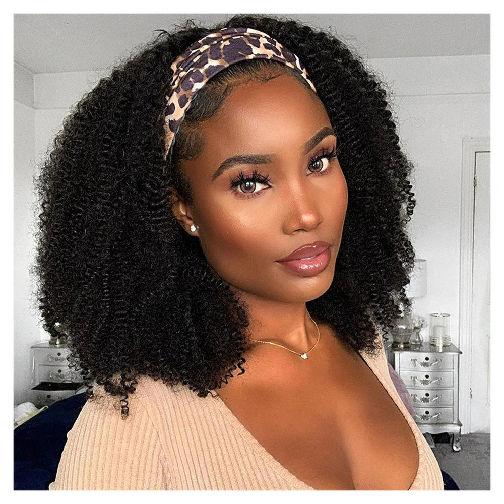 Afro Kinky Curly human hair wig — Natural Black