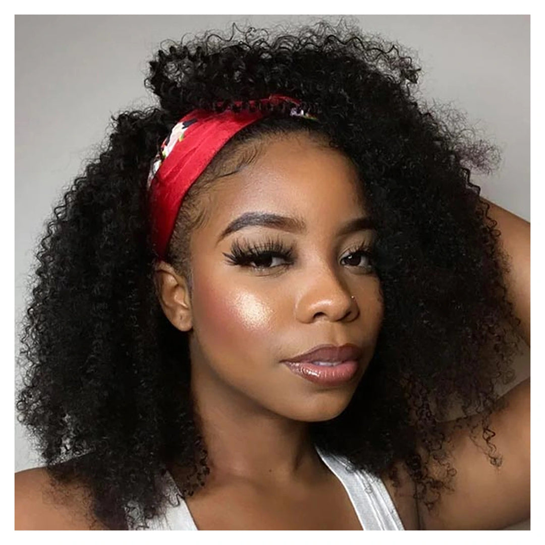 Afro Kinky Curly human hair wig — Natural Black