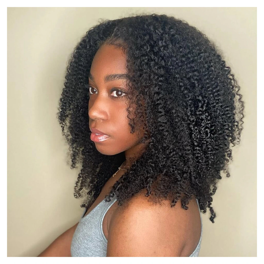 Afro Kinky Curly human hair wig — Natural Color