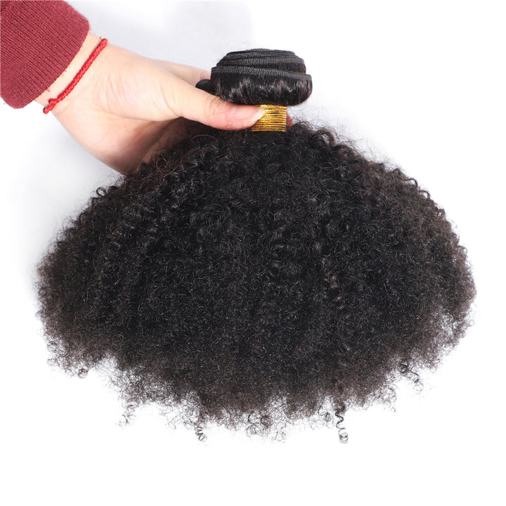 Brazilian Afro Kinky Curly 10A Grade Remy 100% Human Hair 1 Bundle Deal Bling Hair - Bling Hair