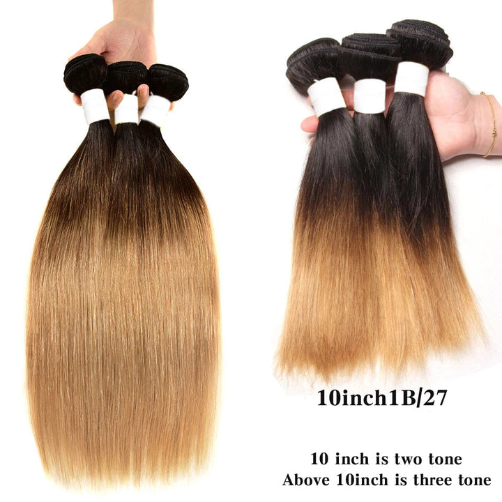 Ombre Straight / Body Wave Human Hair Bundles 3 Tones 1B427 Colored Hair Extensions