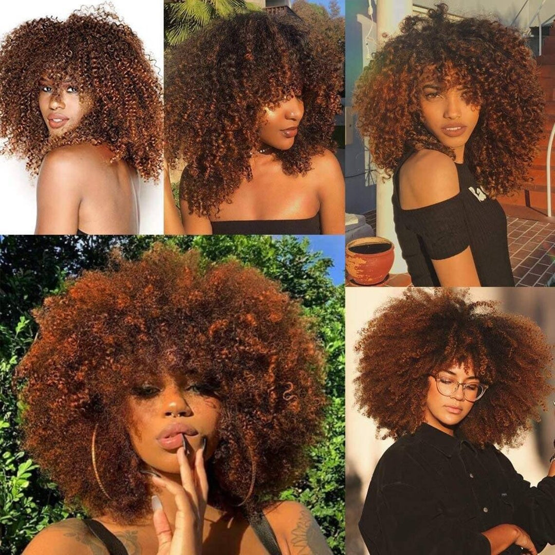 Afro Curly Ombre Brown Human Hair Wigs